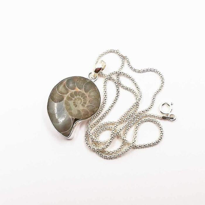Ciondolo Ammonite Argento 925 con Collana Compresa nel Prezzo