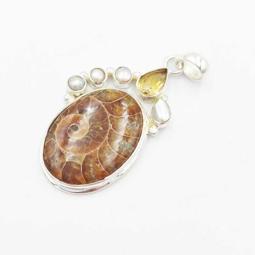 Ammonite Ciondolo con Citrino 2759